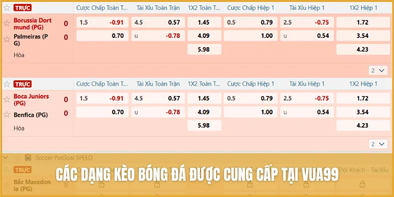 Tổng Hợp Kèo Cược Thể Thao Vua99 Và Kinh Nghiệm Chơi