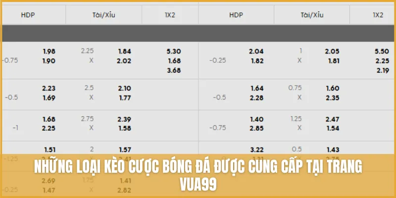 Web Cá Cược Bóng đá VUA99 - Kèo Cược đa Dang Tỷ Lệ Thắng Cao