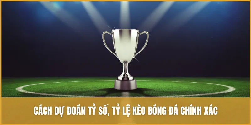 Tỷ Số Và Tỷ Lệ Kèo: Những điều Cần Biết Khi Cá Cược Bóng đá