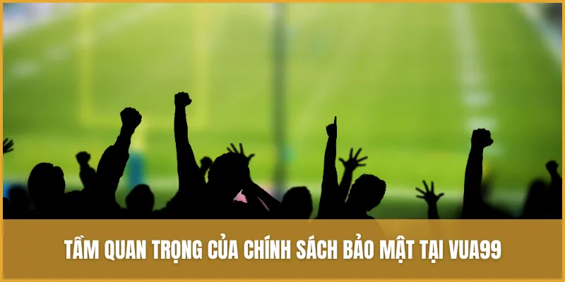 Chính Sách Bảo Mật VUA99 Hướng Dẫn Chi Tiết