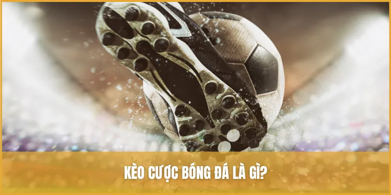 Tổng Hợp Kèo Cược Thể Thao Vua99 Và Kinh Nghiệm Chơi