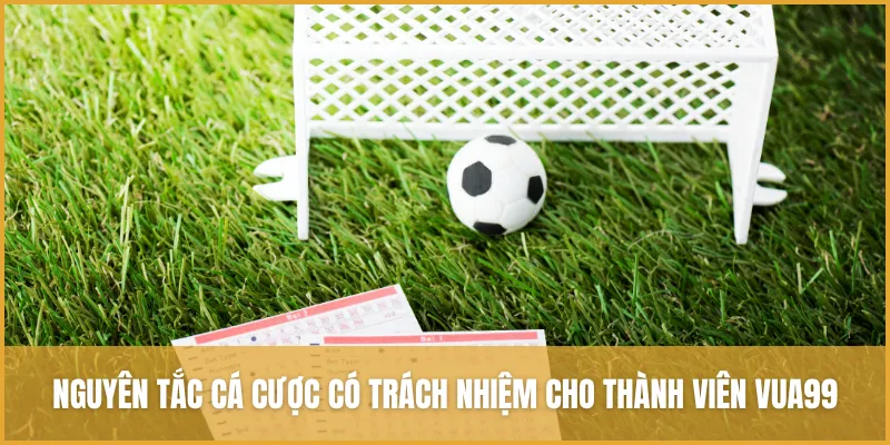 Cá Cược Có Trách Nhiệm VUA99: Giải Trí An Toàn & Lành Mạnh