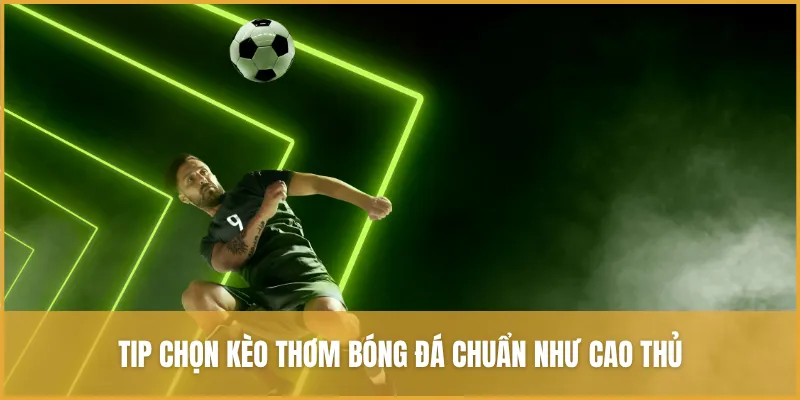 Tổng Hợp Kèo Cược Thể Thao Vua99 Và Kinh Nghiệm Chơi