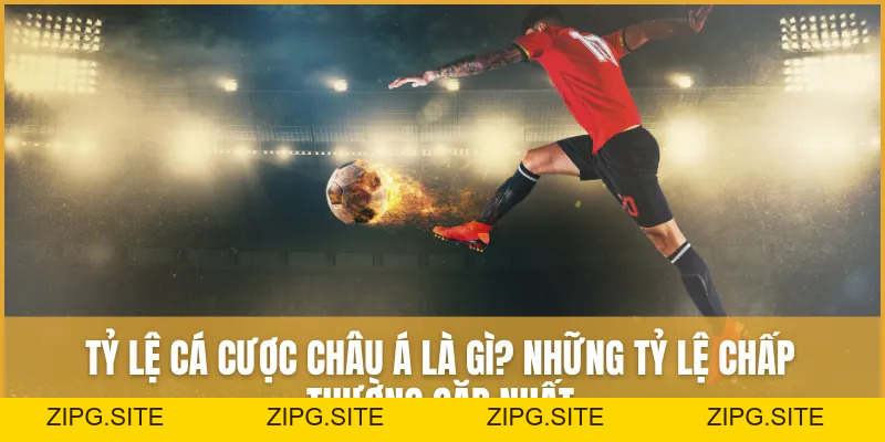 Tỷ Lệ Cá Cược Châu Á Là Gì? Những Tỷ Lệ Chấp Thường Gặp