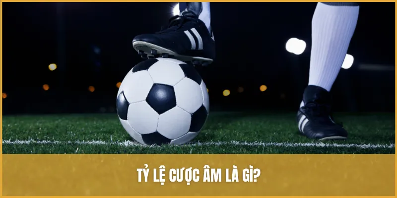 Tỷ Lệ Cược âm Bóng đá Là Gì? Chiến Thuật Cược Thông Minh