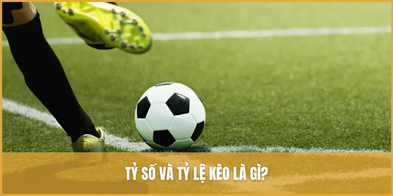 Tỷ Số Và Tỷ Lệ Kèo: Những điều Cần Biết Khi Cá Cược Bóng đá
